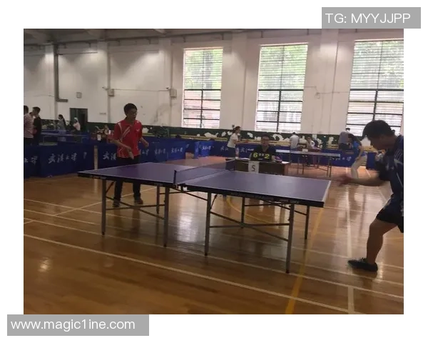 南京乒乓球队个人能力表现数据分析及其对比赛成绩的影响研究 南京乒乓球队个人能力表现数据分析及其对比赛成绩的影响研究