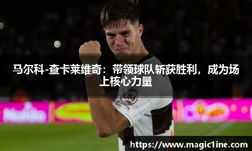 必一bsports
