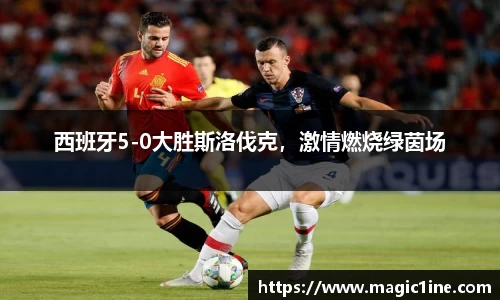 bsports体育