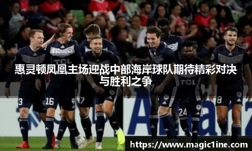必一bsports