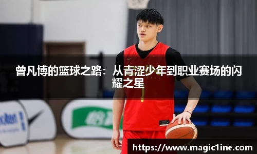 bsports体育