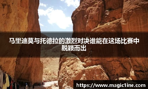 bsports官方网站