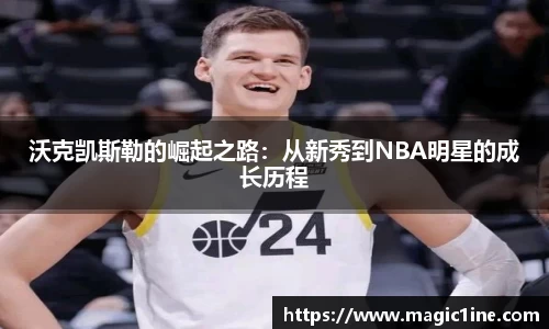 bsports官方网站