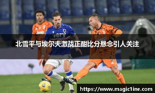 必一bsports
