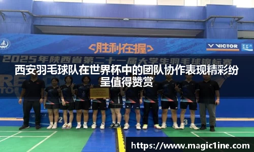 必一bsports