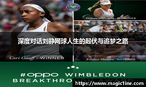 深度对话刘静网球人生的起伏与追梦之路